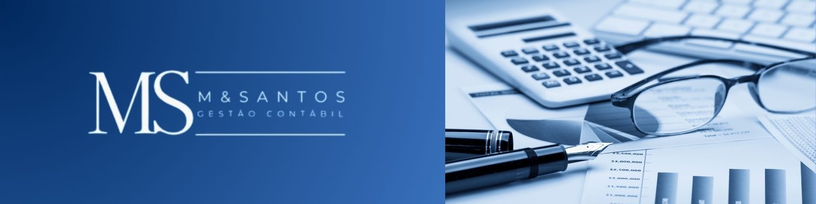 MS Santos Gestao contabil 1 1
